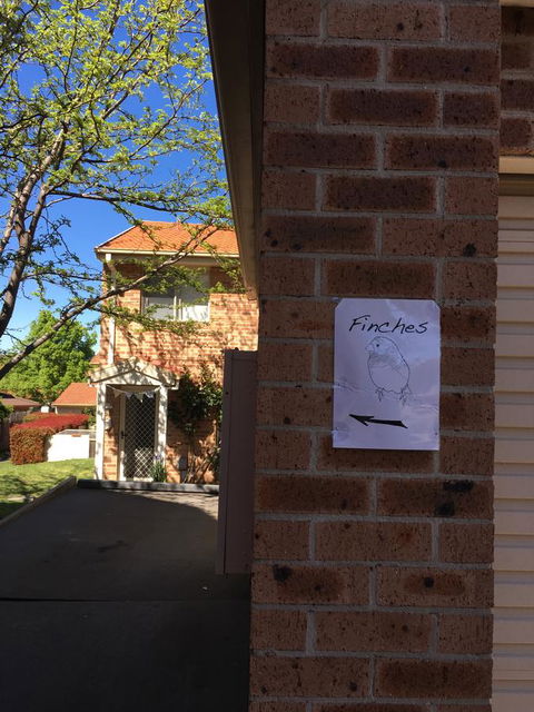 Finches Canberra - Accommodation QLD 6