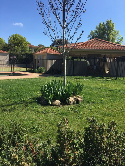 Finches Canberra - Accommodation QLD 29