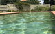 Finches Canberra - thumb 1