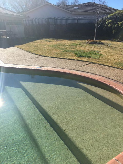 Finches Canberra - Accommodation QLD 35