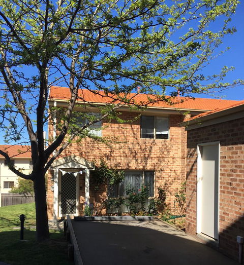 Finches Canberra - Accommodation QLD 8