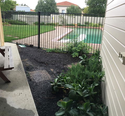 Finches Canberra - Accommodation QLD 39
