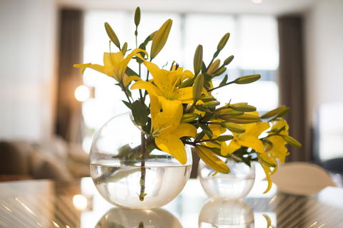 KUI - Manhattan Apartments - Accommodation QLD 0