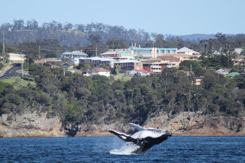 Heritage House Motel & Units - Accommodation QLD 27