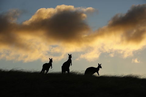 Sky House Kangaroo Island - Accommodation QLD 37