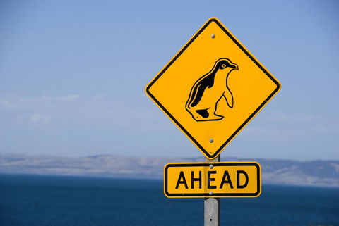 Kangaroo Island Seafront - Accommodation QLD 43