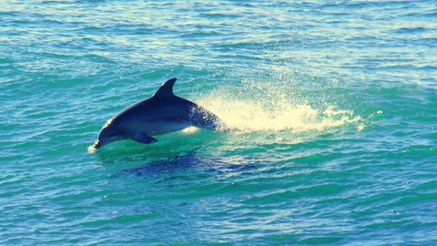 Mollymook Beach Waterfront - Accommodation QLD 22
