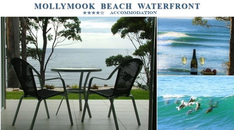 Mollymook Beach Waterfront - Accommodation QLD 1