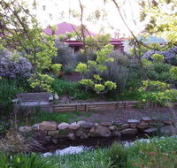 Frog Song at Willunga - Accommodation QLD