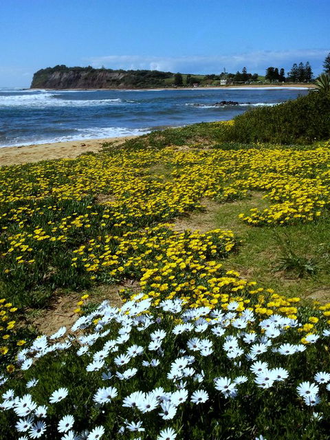 Serenity On Narrabeen Beach - 1Bdr Beachside Retreat - Accommodation QLD 10
