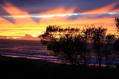 Serenity On Narrabeen Beach - 1Bdr Beachside Retreat - Accommodation QLD 1