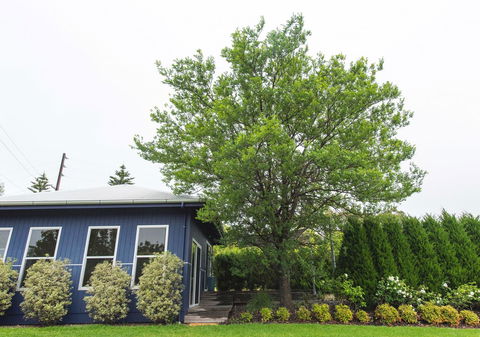 S T U D I O 22 Peaceful Retreat With Garden Views - Accommodation QLD 11