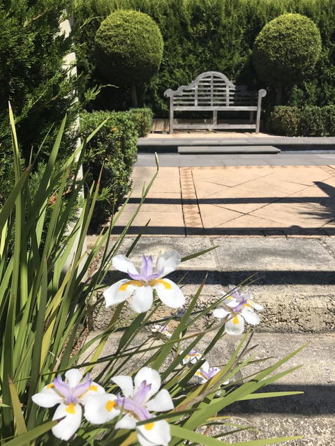 S T U D I O 22 Peaceful Retreat With Garden Views - Accommodation QLD 13