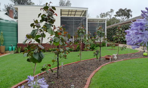 Grassmere House Magill - Accommodation QLD 19