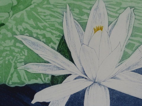 Monaco Court Apartment Adelaide - Accommodation QLD 16