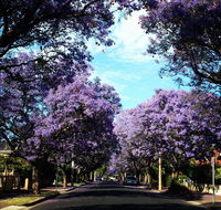 Monaco Court Apartment Adelaide - Accommodation QLD