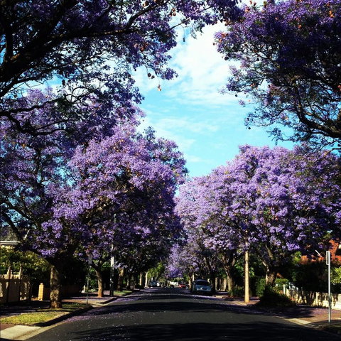 Monaco Court Apartment Adelaide - Accommodation QLD 0