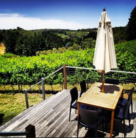 Monaco Court Apartment Adelaide - Accommodation QLD 27