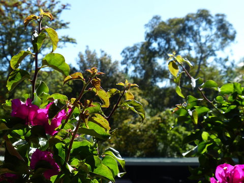 Monaco Court Apartment Adelaide - Accommodation QLD 11