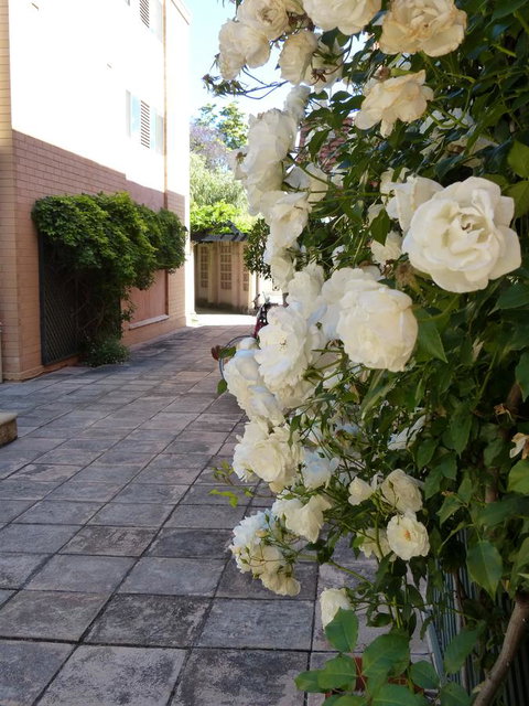 Monaco Court Apartment Adelaide - Accommodation QLD 19