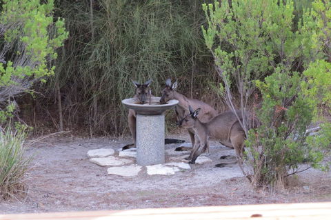 Kestrel Downs - Accommodation QLD 23