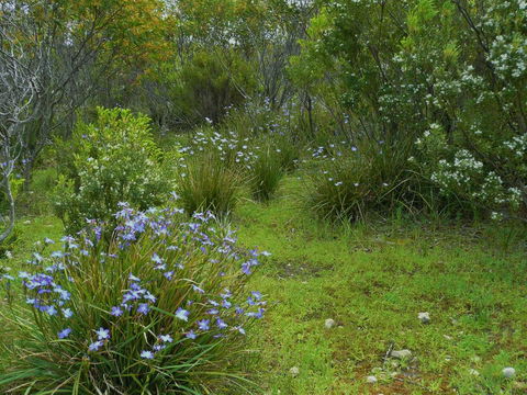 Kestrel Downs - Accommodation QLD 32