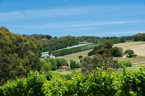 The Other House - Accommodation QLD 3
