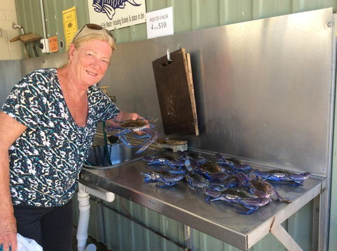 Ceduna Foreshore Caravan Park - Accommodation QLD 28