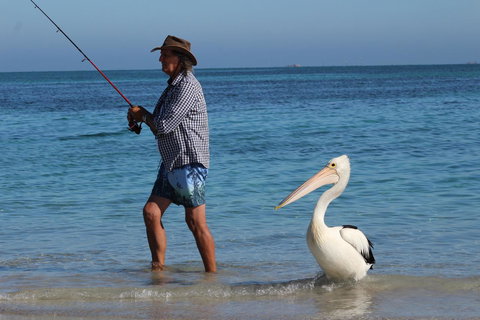 Ceduna Foreshore Caravan Park - Accommodation QLD 21
