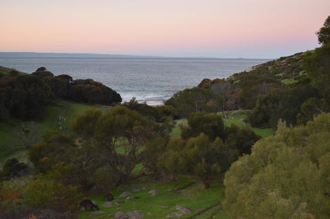 Sea Dragon Kangaroo Island - Accommodation QLD 30