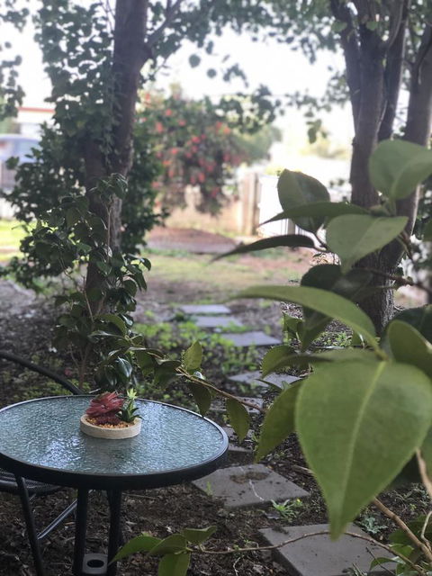 Olive\'s Cottage - Accommodation QLD 2