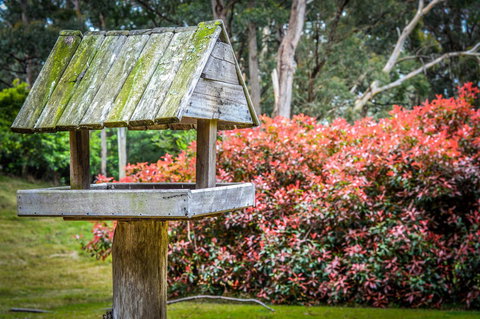 Ghost Hill Road Retreat - Accommodation QLD 17