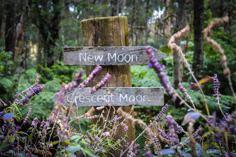 Ghost Hill Road Retreat - Accommodation QLD 15