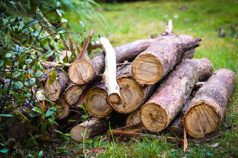 Ghost Hill Road Retreat - Accommodation QLD 19