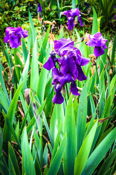 Ghost Hill Road Retreat - Accommodation QLD 22