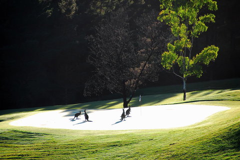 SkyView Villa - Accommodation QLD 3