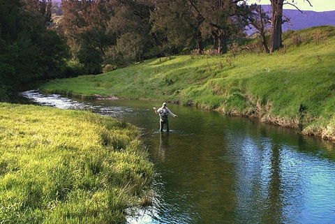 SkyView Villa - Accommodation QLD 17