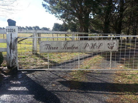 Three Linden - Accommodation QLD 6