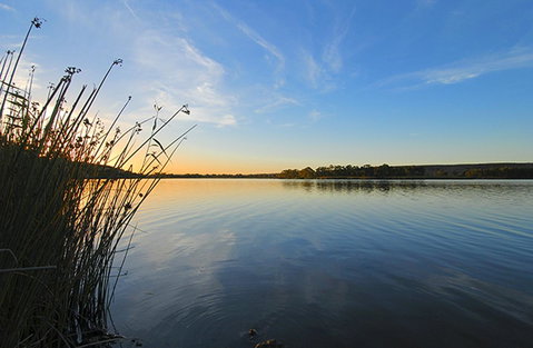 Riverview Rise Retreats - Accommodation QLD 14