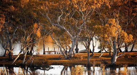 Riverview Rise Retreats - Accommodation QLD 4