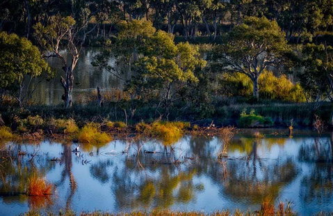 Riverview Rise Retreats - Accommodation QLD 7