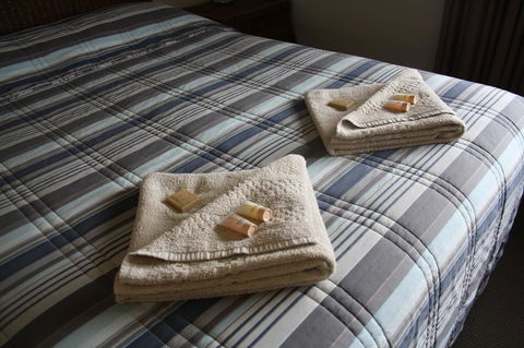 Isis Motel Scone - Accommodation QLD 3