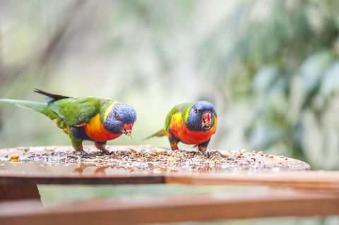 Smiths Lake House - Accommodation QLD 18