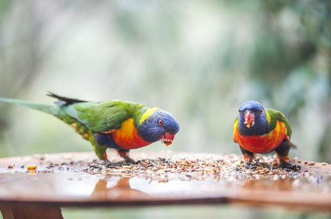 Smiths Lake House - Accommodation QLD 28