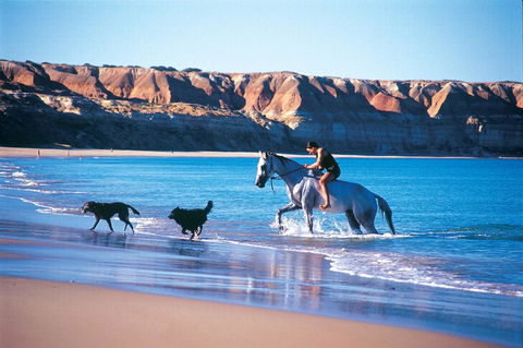Lavina Luxury Beach House - Accommodation QLD 25