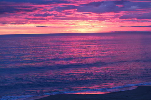 Lavina Luxury Beach House - Accommodation QLD 26