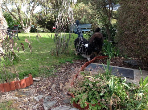 Casuarina Coastal Units - Accommodation QLD 29