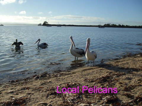 Casuarina Coastal Units - Accommodation QLD 23