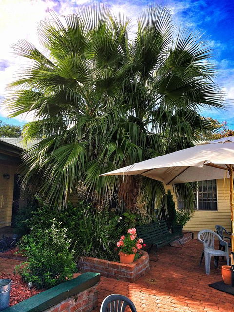 Ten Dollar Town Motel - Accommodation QLD 17