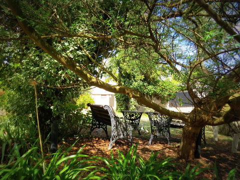 The Pig And Whistle - Accommodation QLD 4